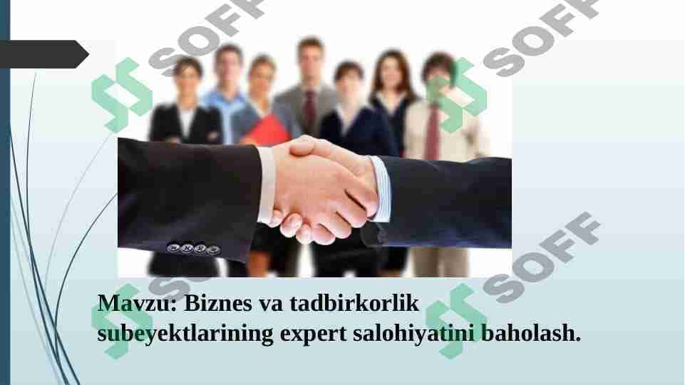 Biznes va tadbirkorlik subektlarining expert salohiyatini baholash.