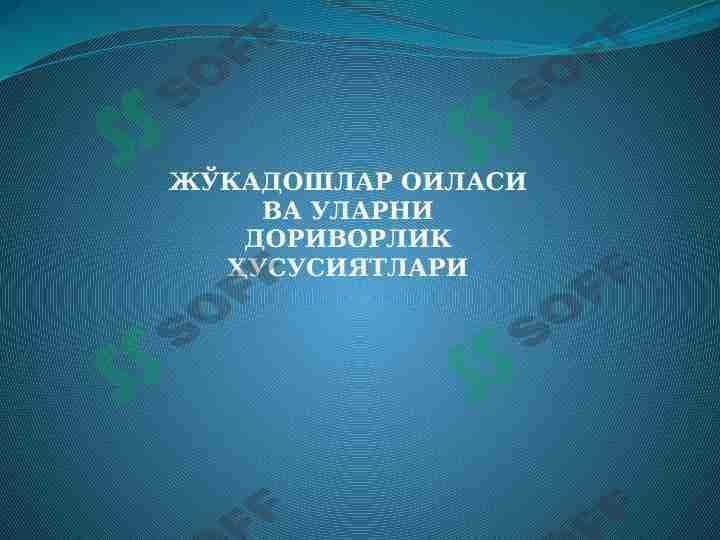 Jo’kadoshlar oilasi va ularni dorivorlik xususiyatlari