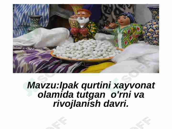 Ipak qurtini hayvonot olamida tutgan o'rni va rivojlanish davri