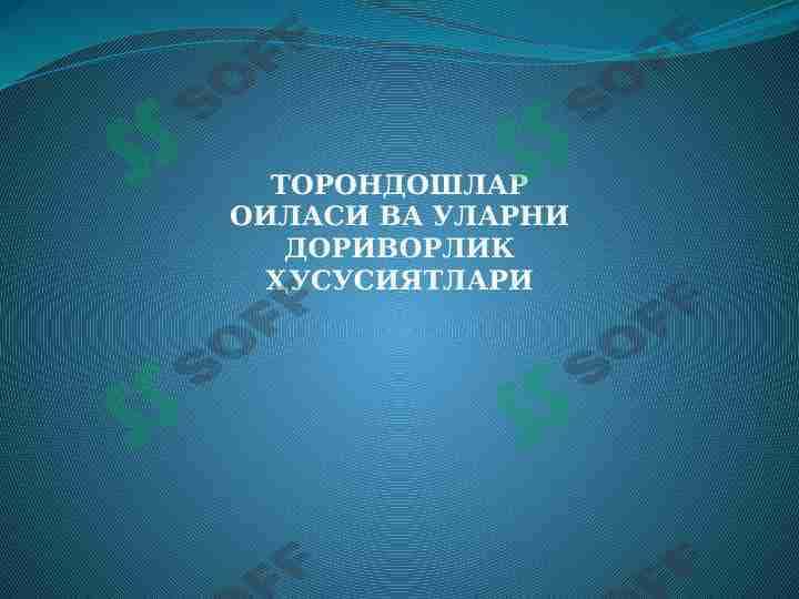 Torondoshlar oilasi va ularni dorivorlik xususiyatlari