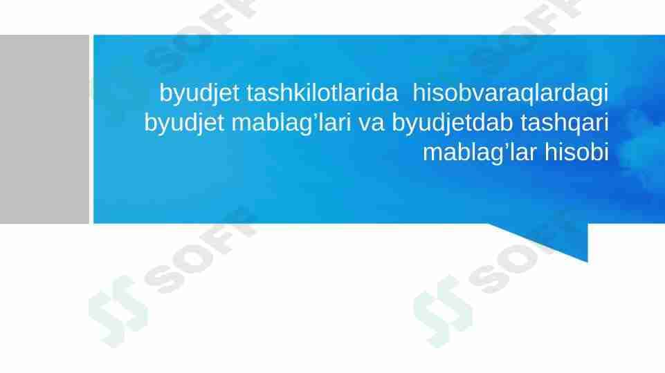 byudjet tashkilotlarida hisobvaraqlardagi byudjet mablag’lari va byudjetdab tashqari mablag’lar hisobi
