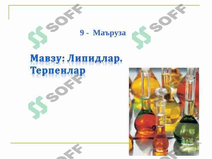 Липидлар. Терпенлар