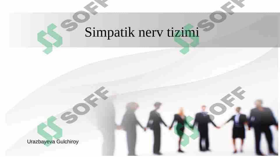 Simpatik nerv tizimi