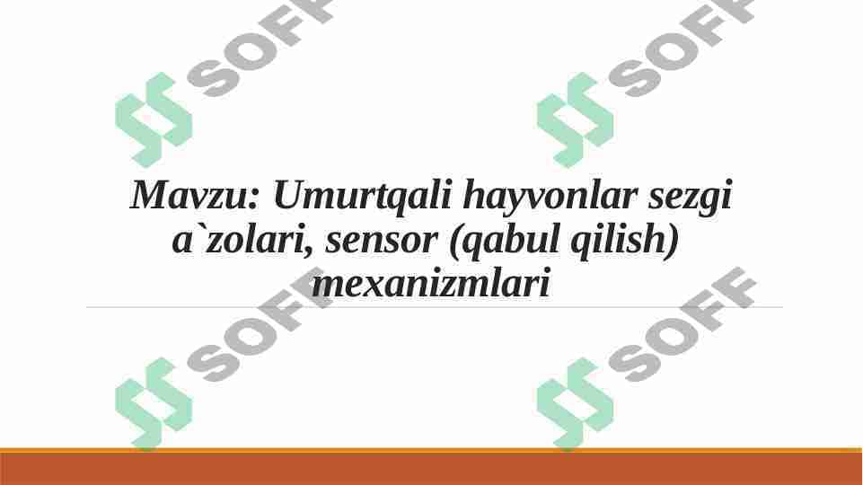 Umurtqali hayvonlar sezgi a`zolari