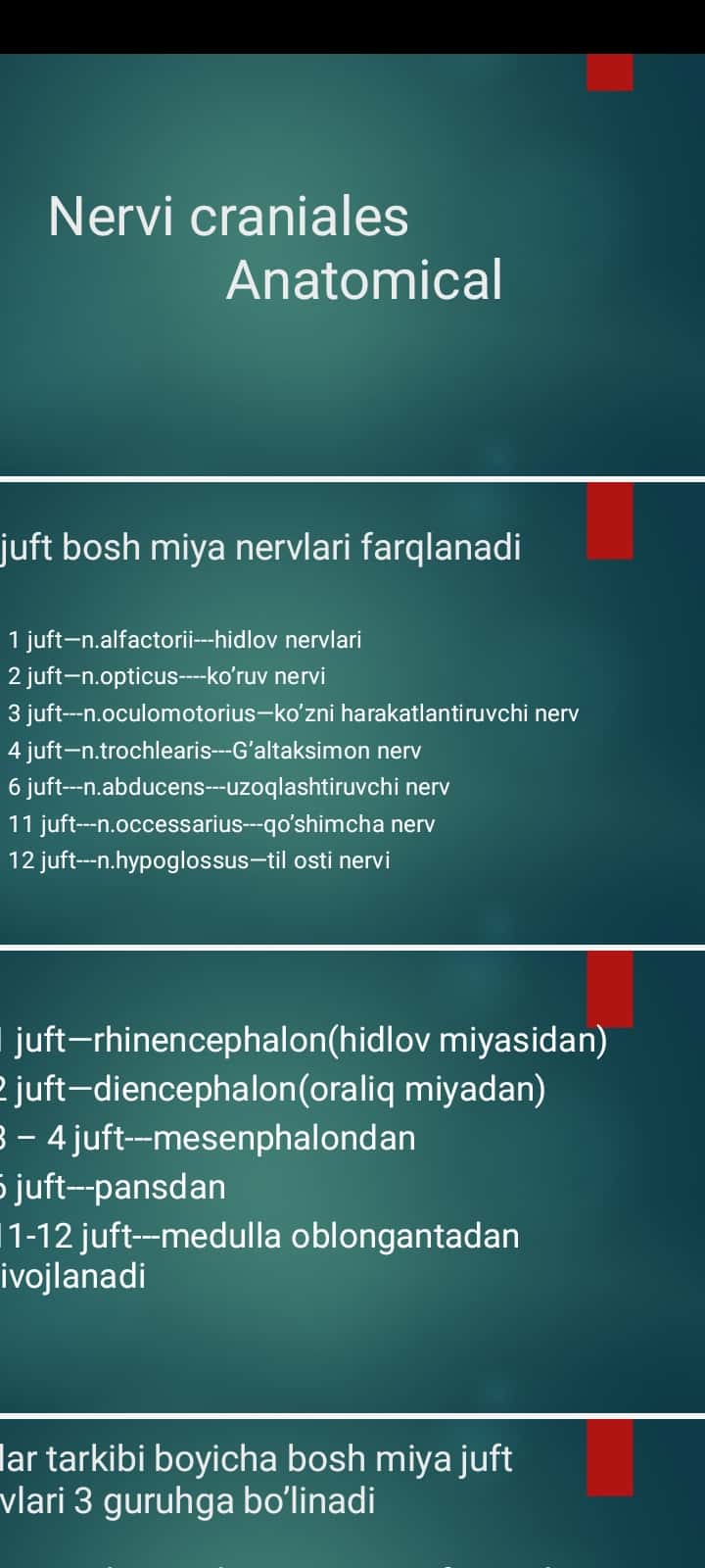 Equisetophyta – Qiqbo‘g‘imlar bo‘limi pptx