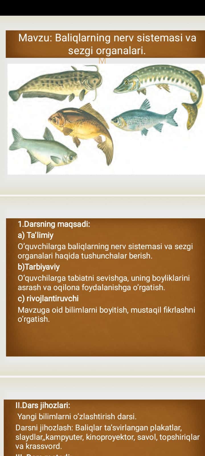 Baliqlarning nerv sistemasi va sezgi organalari