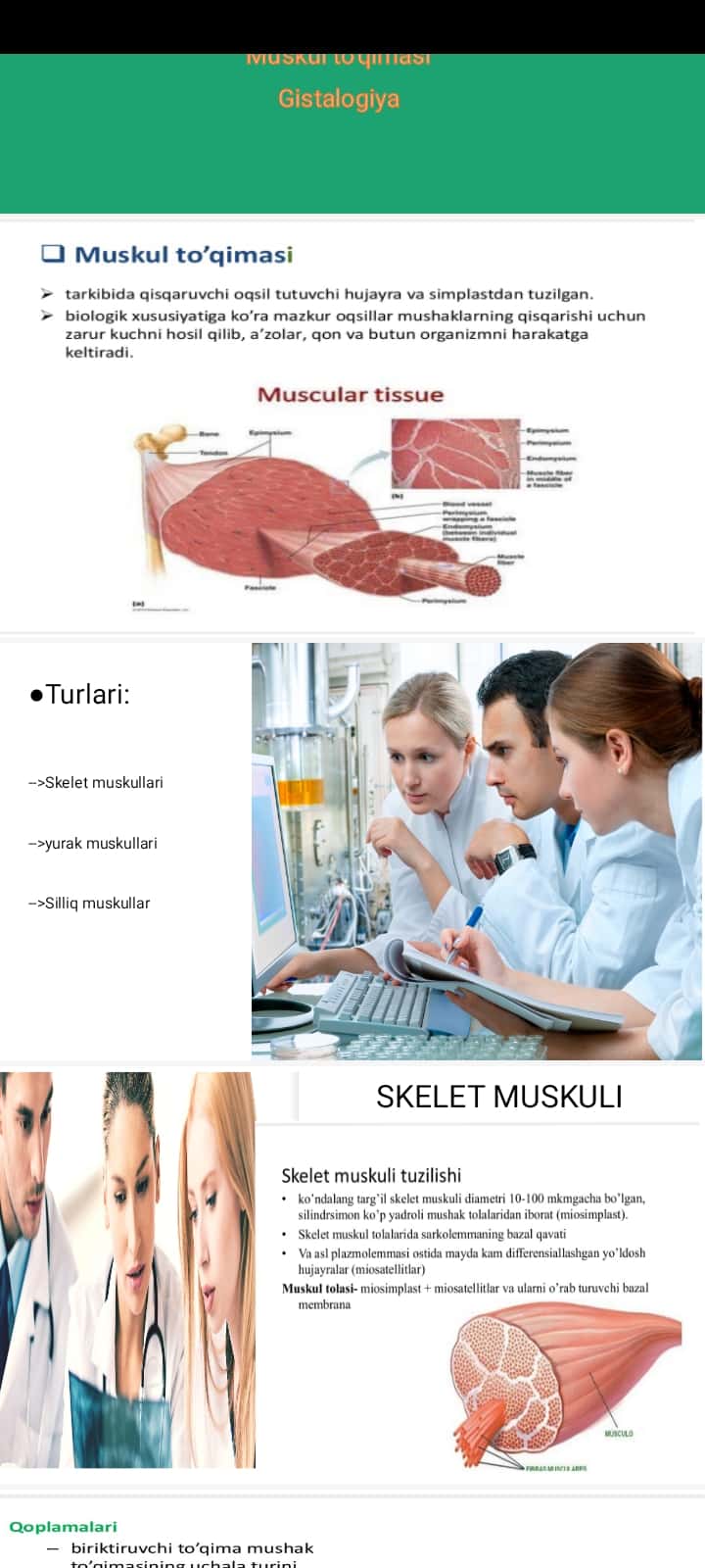 Muskul to'qimasi