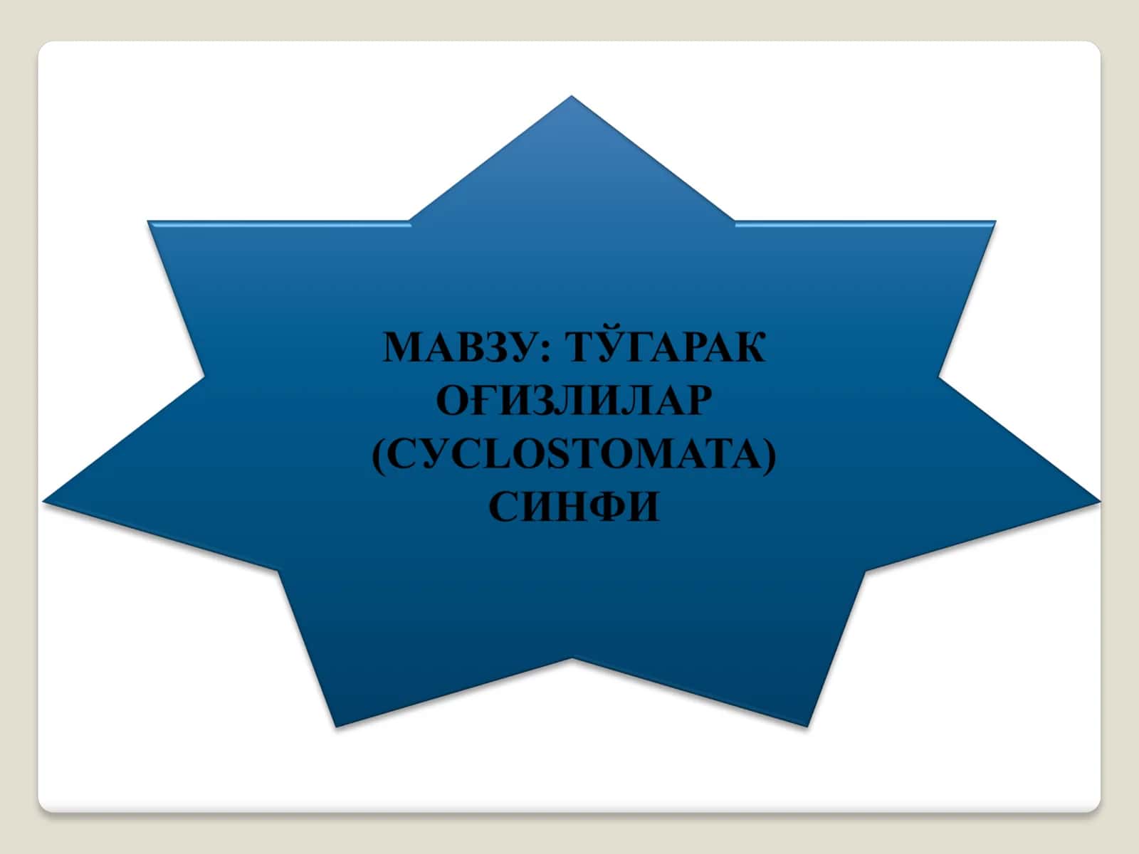 Умуртқалилар кенжа типи