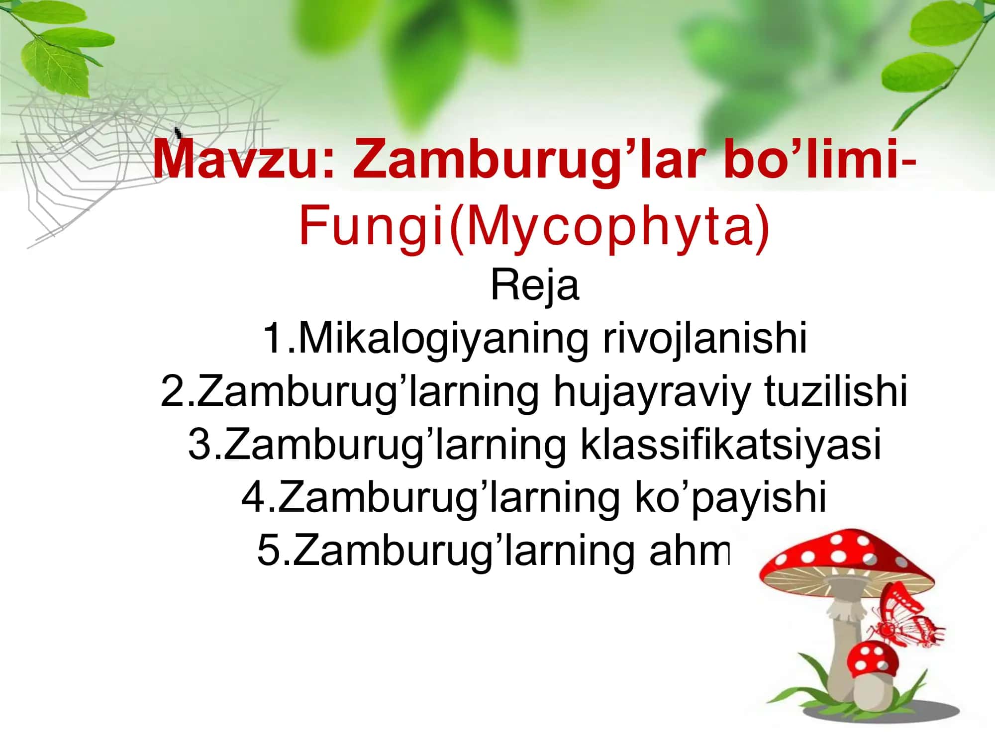 Zamburug'lar