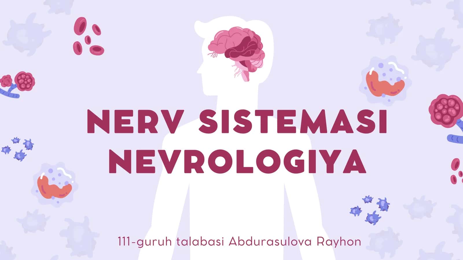 Nerv sistemasi