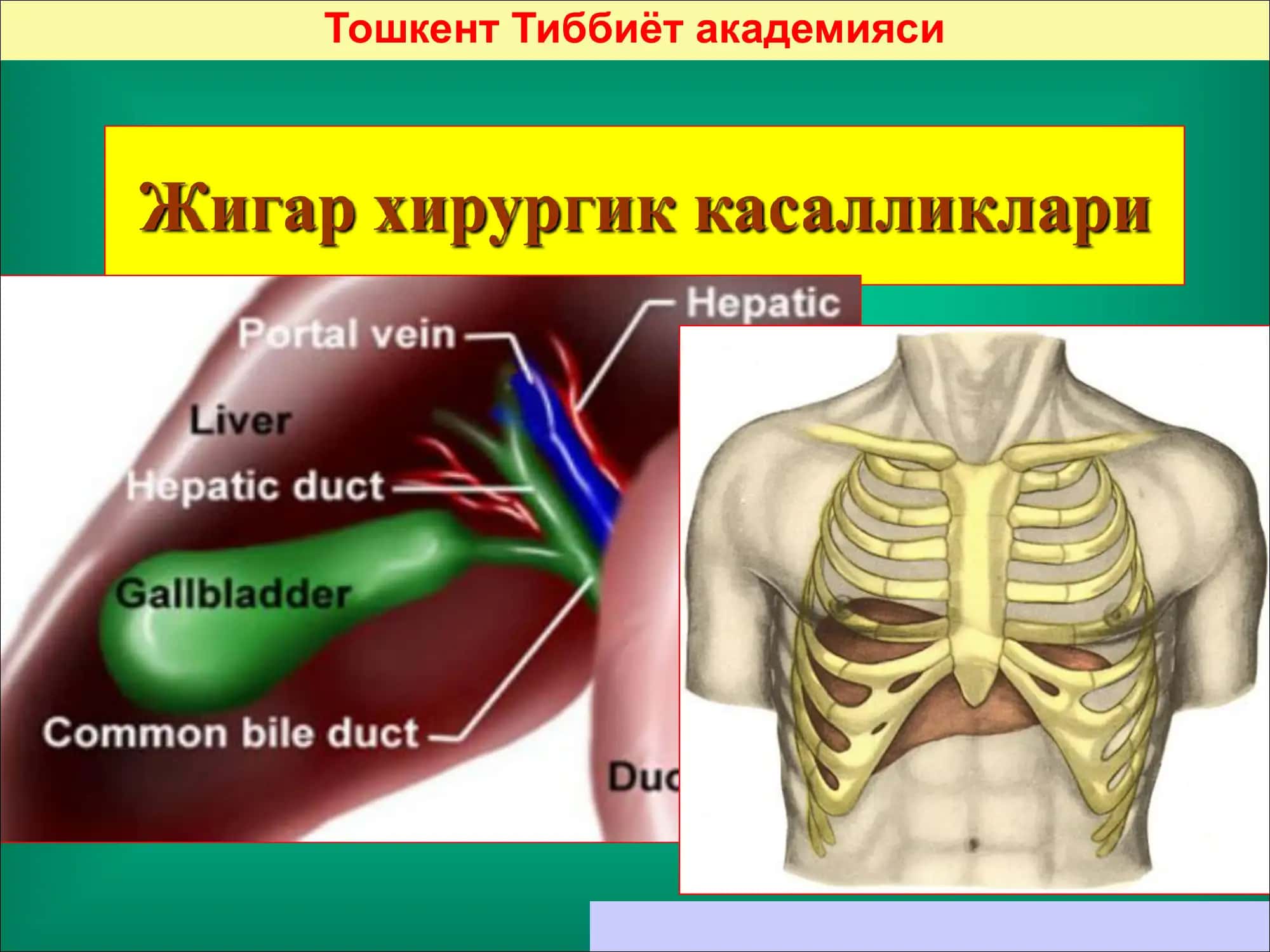 Jigar xirurgik kasalliklari