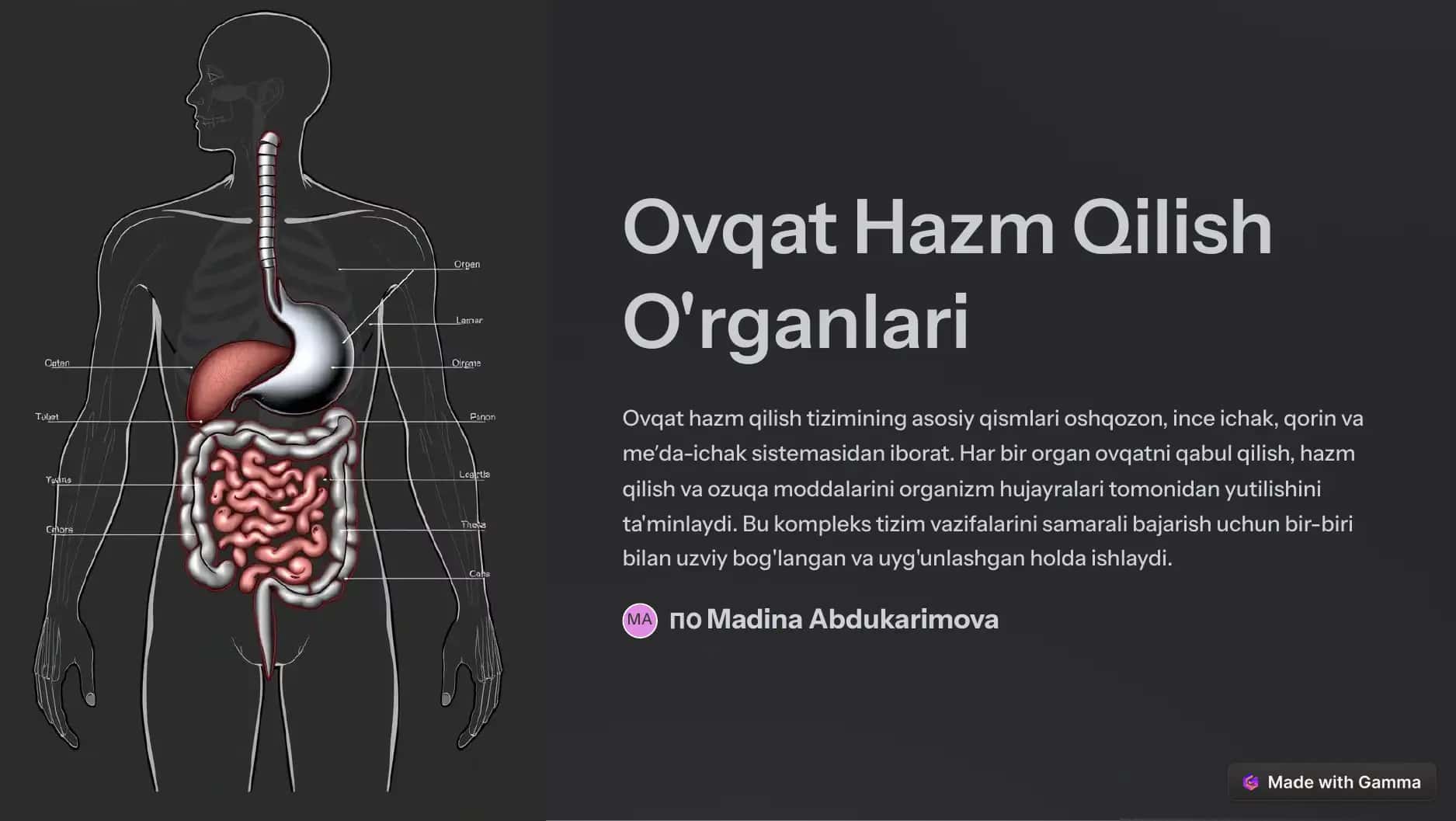Ovqat Hazm Qilish