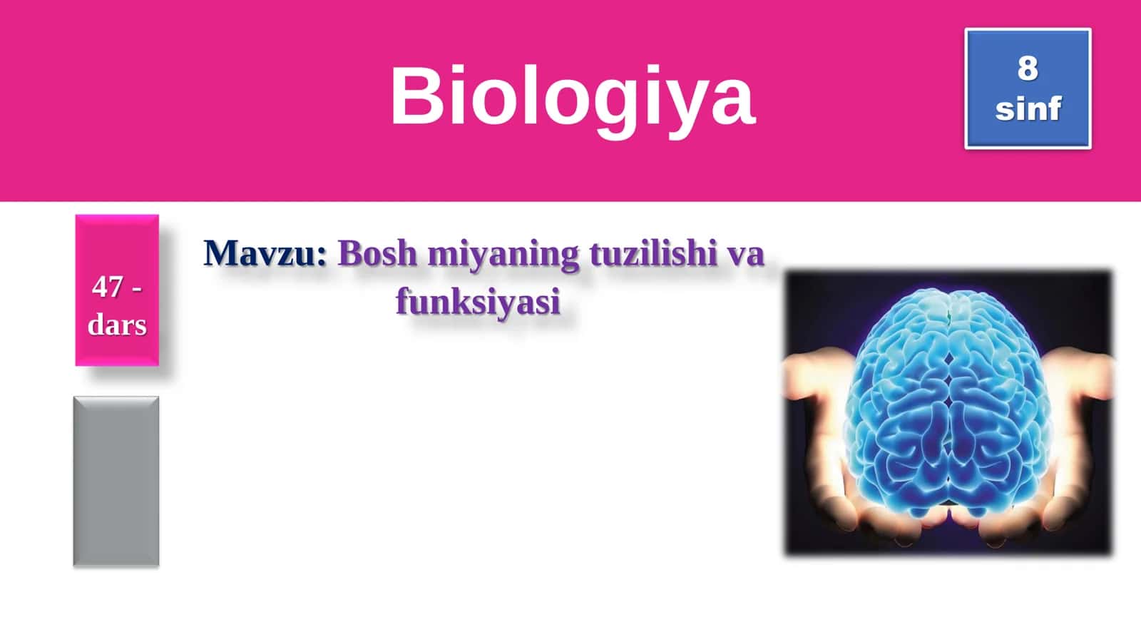 8-Sinf Biologiya: “Bosh Miyaning Tuzilishi va Funksiyasi” Taqdimot