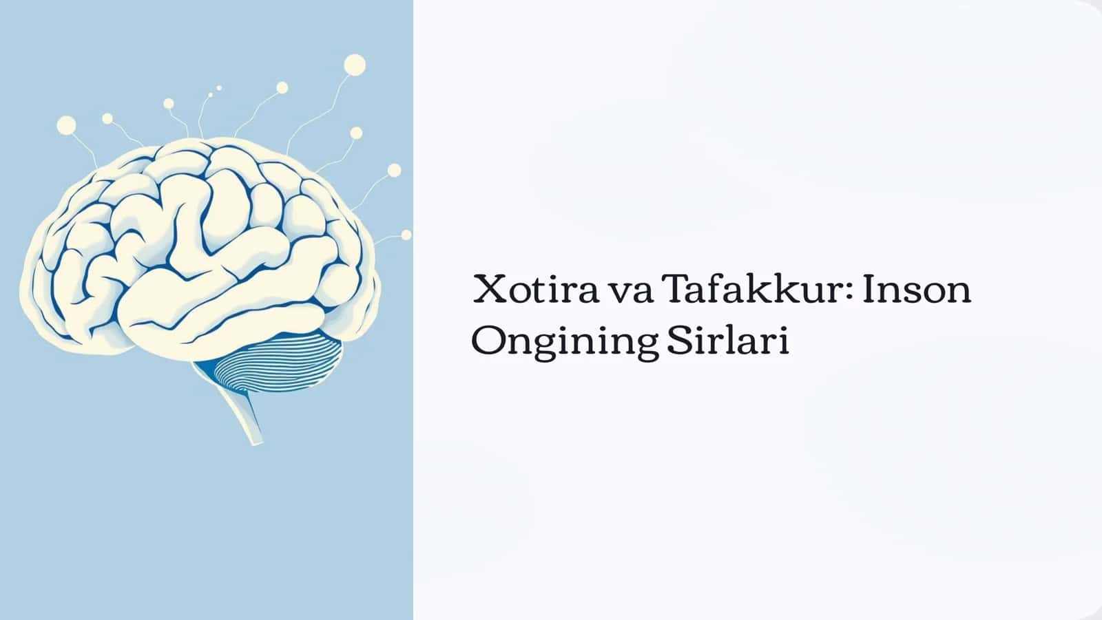 Xotira va Tafakkur Inson Ongining Sirlari