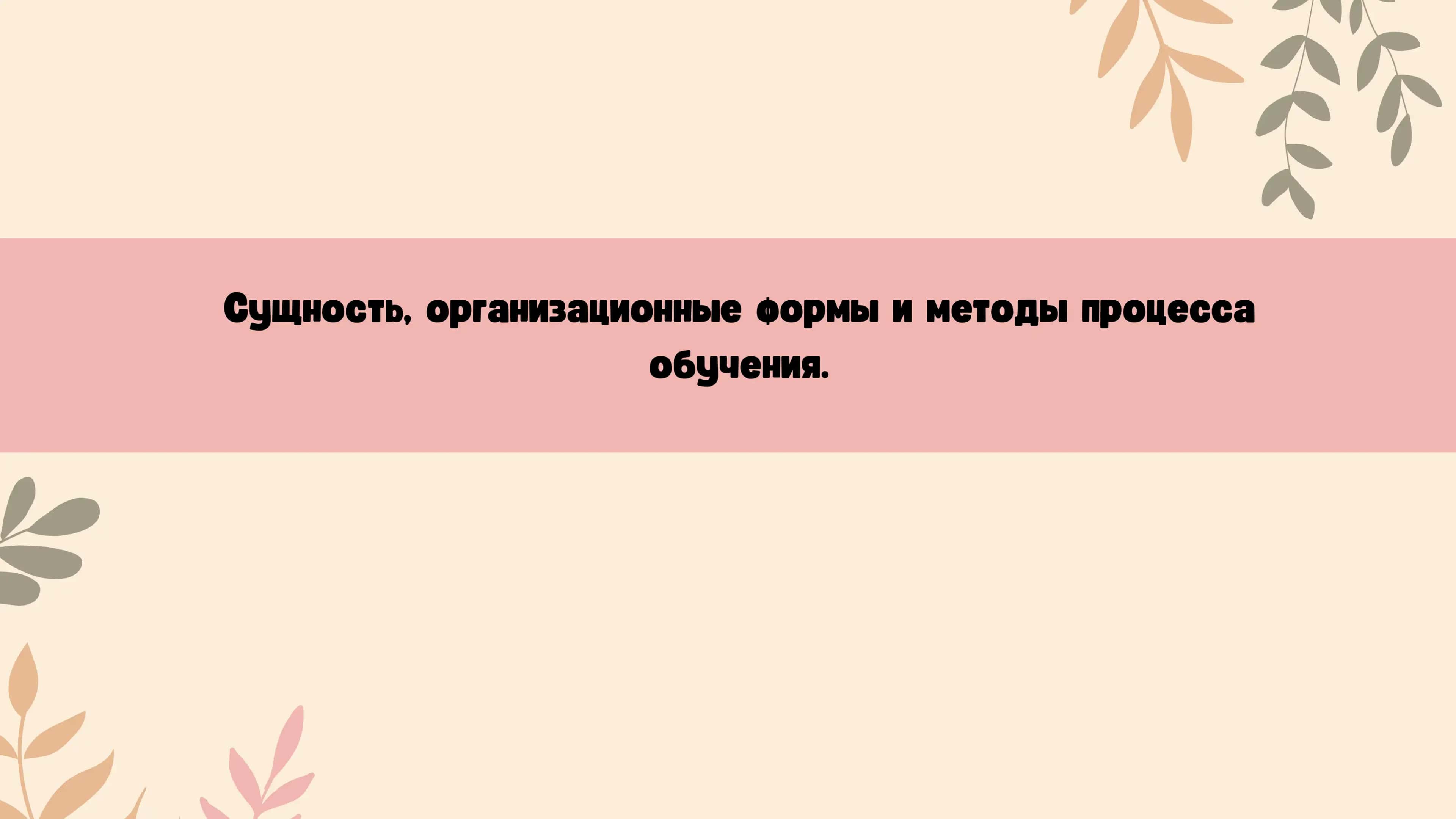 Сущность, организационные формы и методы процесса обучения.