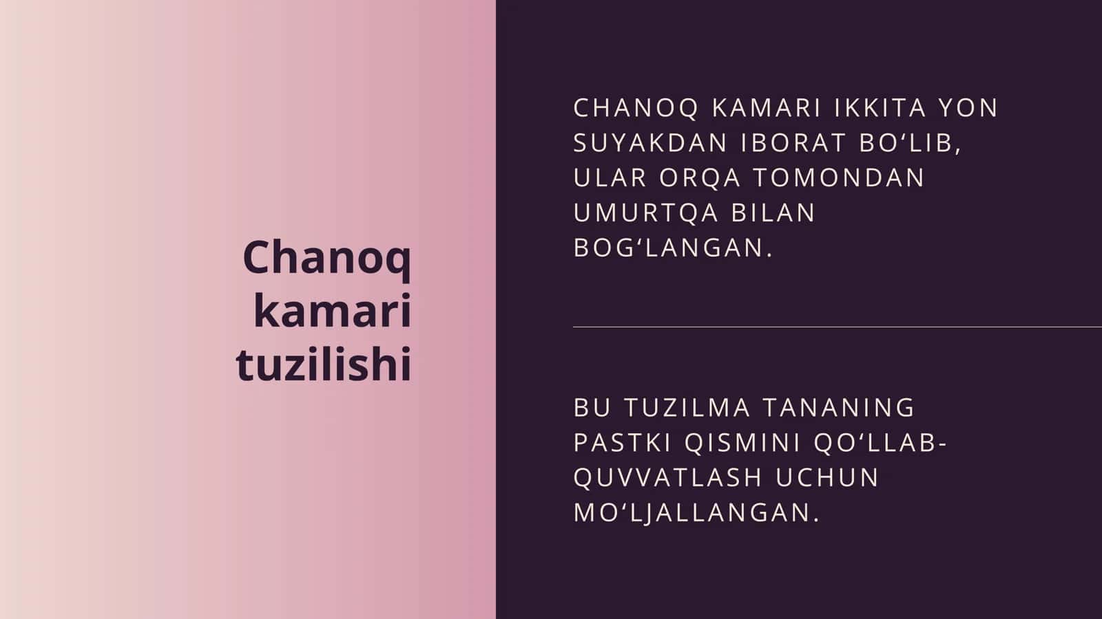 Chanoq kamari tuzilishi
