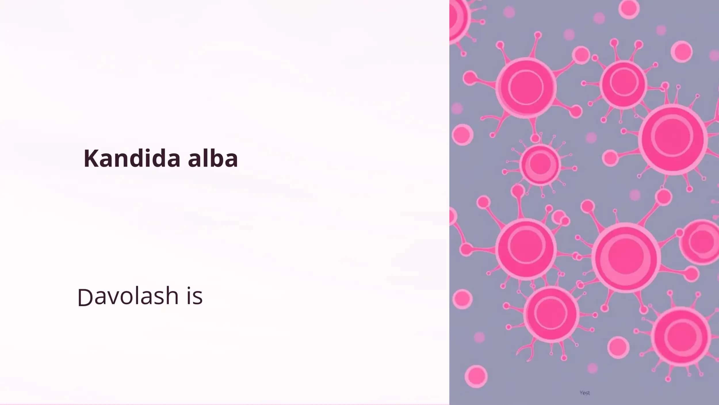 Kandida alba