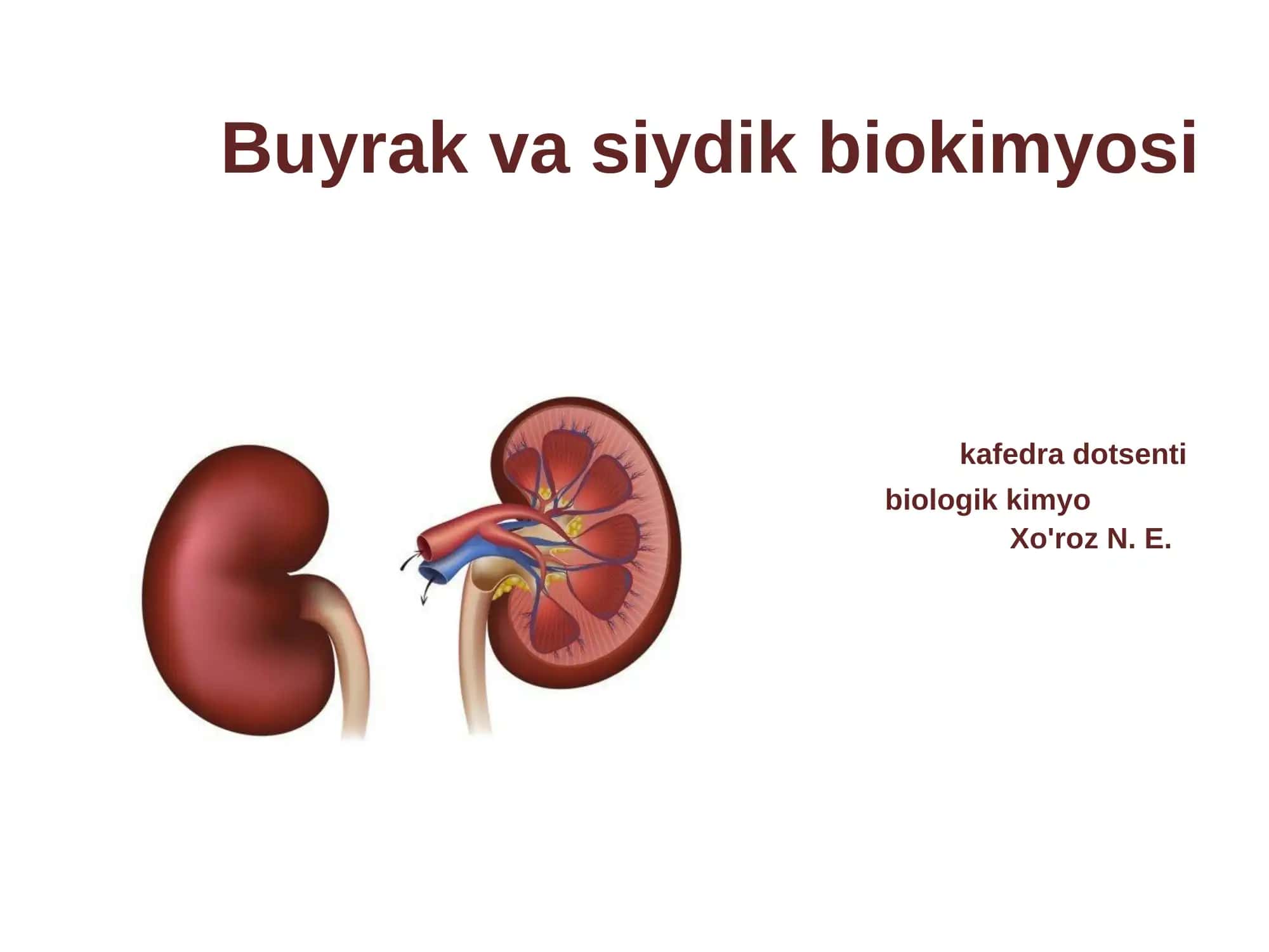 Buyrak va siydik biokimyosi