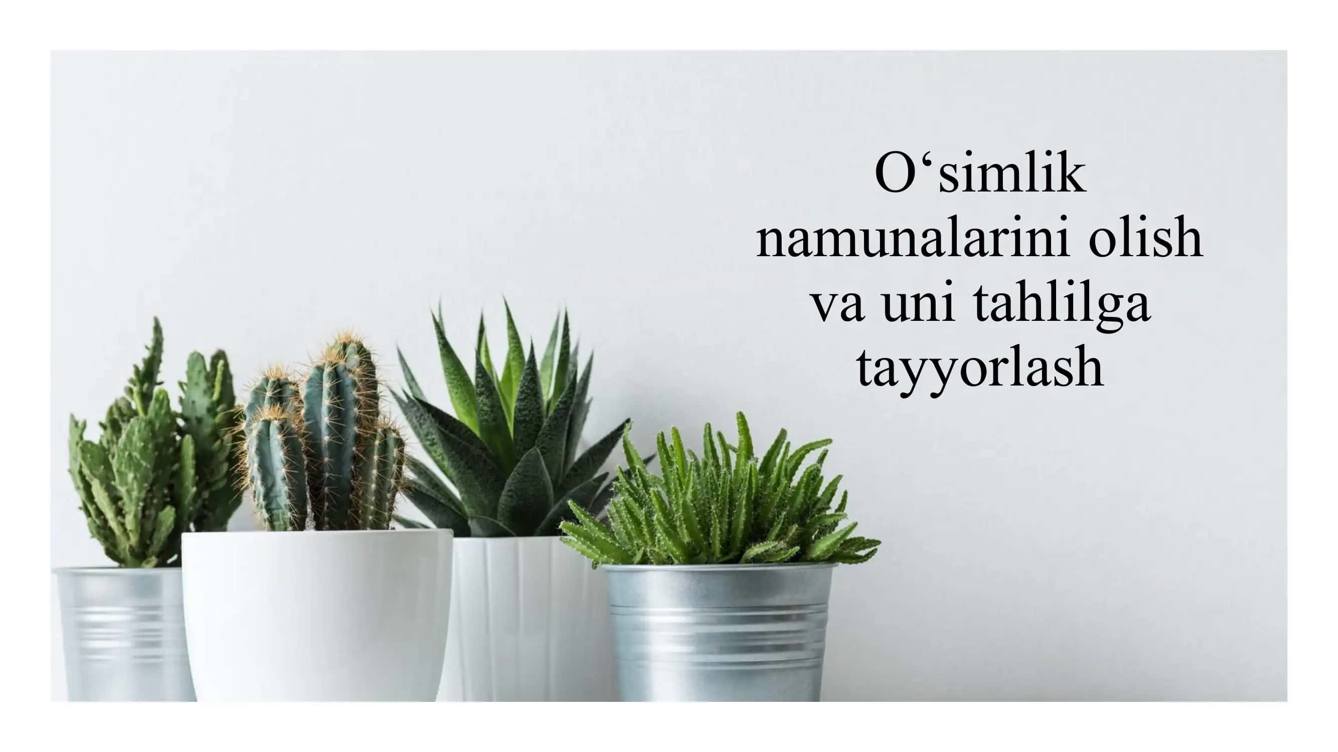 Oʻsimlik namunalarini olish va uni tahlilga tayyorlash