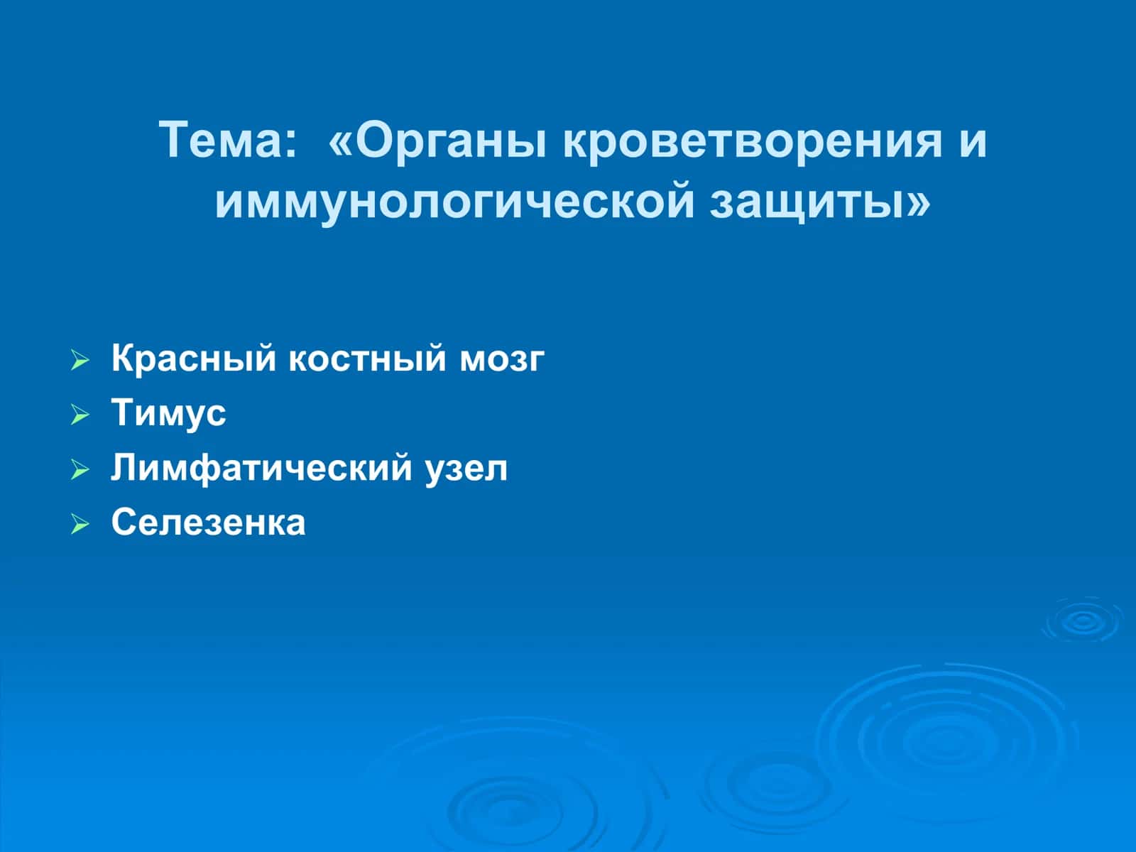 Органы кроветворения и иммунологической защиты