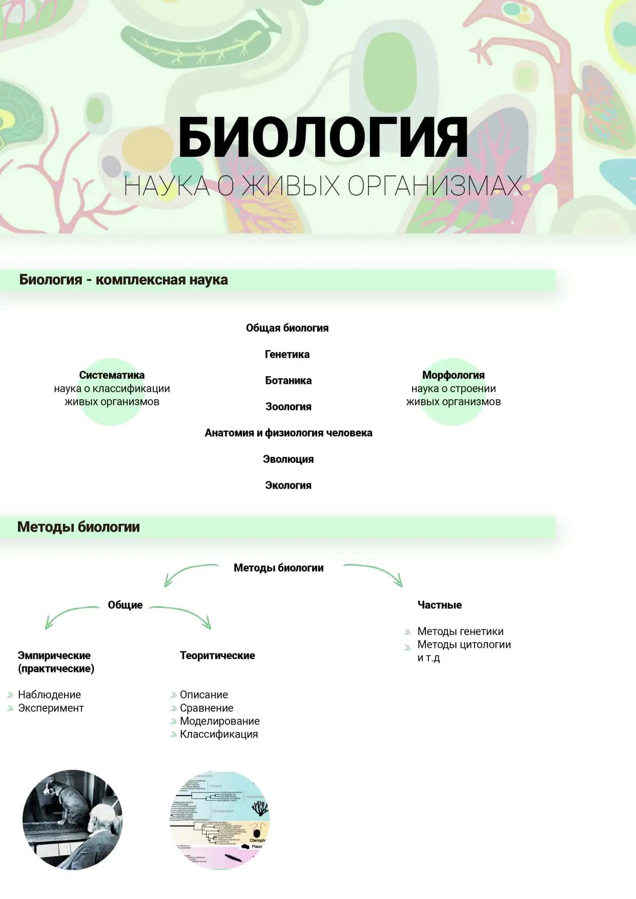 Общая биология (Umumiy biologiya) fanini rus tilida o'rganuvchi va o'rgatuvchilar uchun qo'llanma