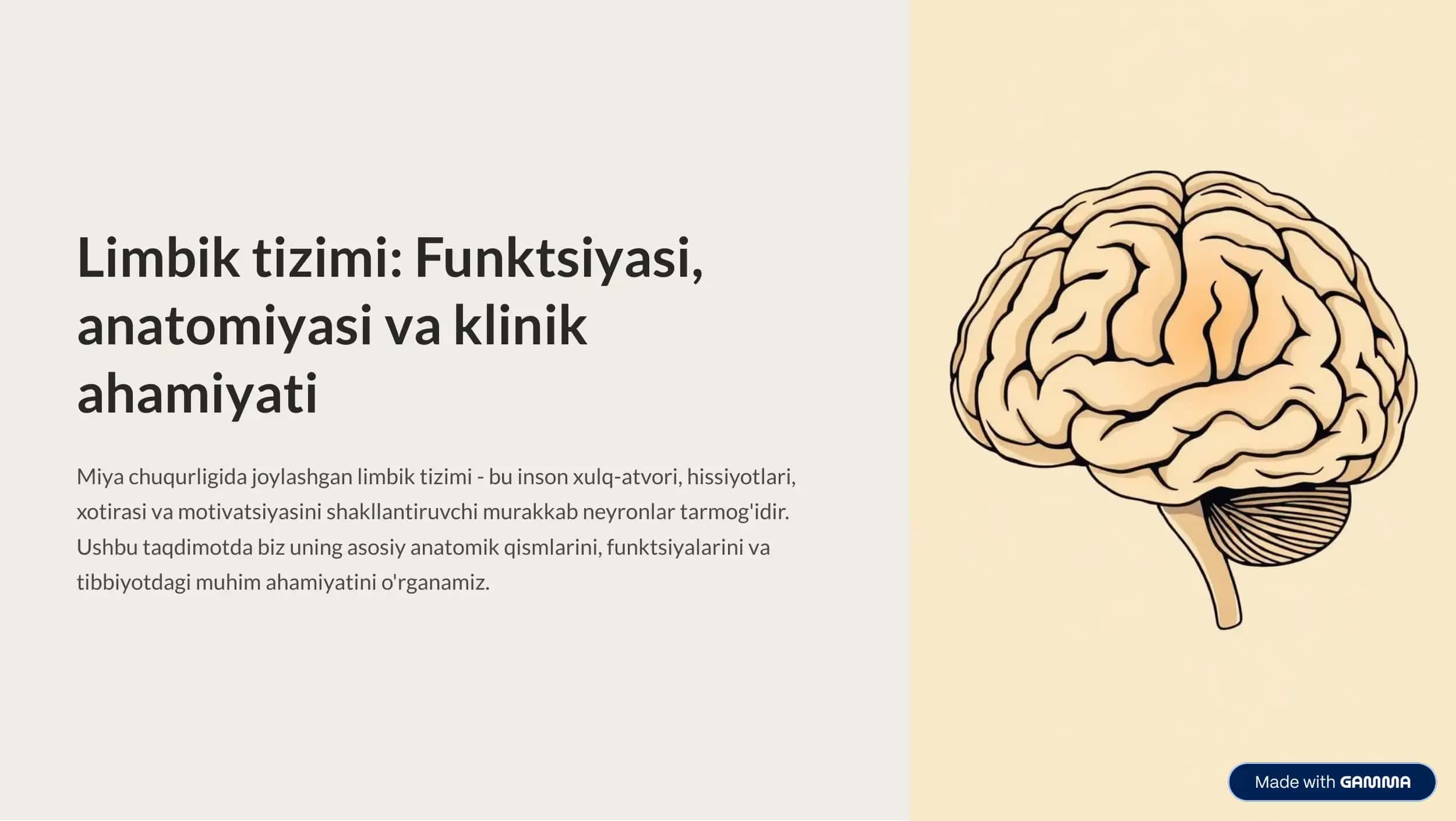 Limbik tizim