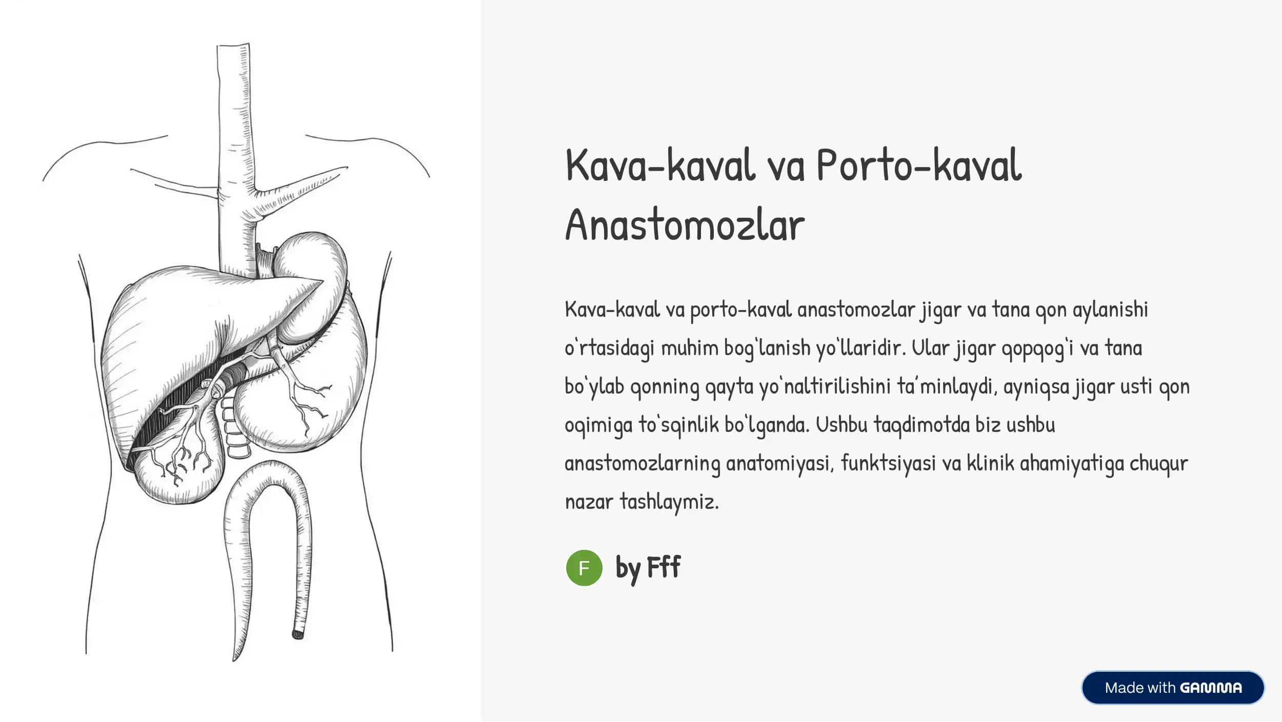 Kava-kaval va Porto-kaval Anastomozlari