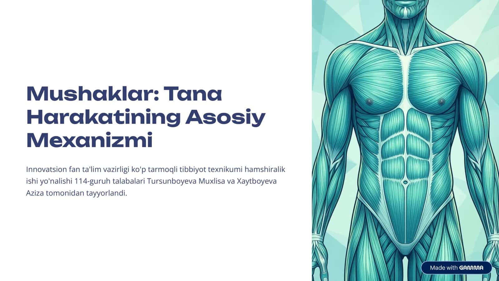 Mushaklar: Tana, Harakatining Asosiy Mexanizmi