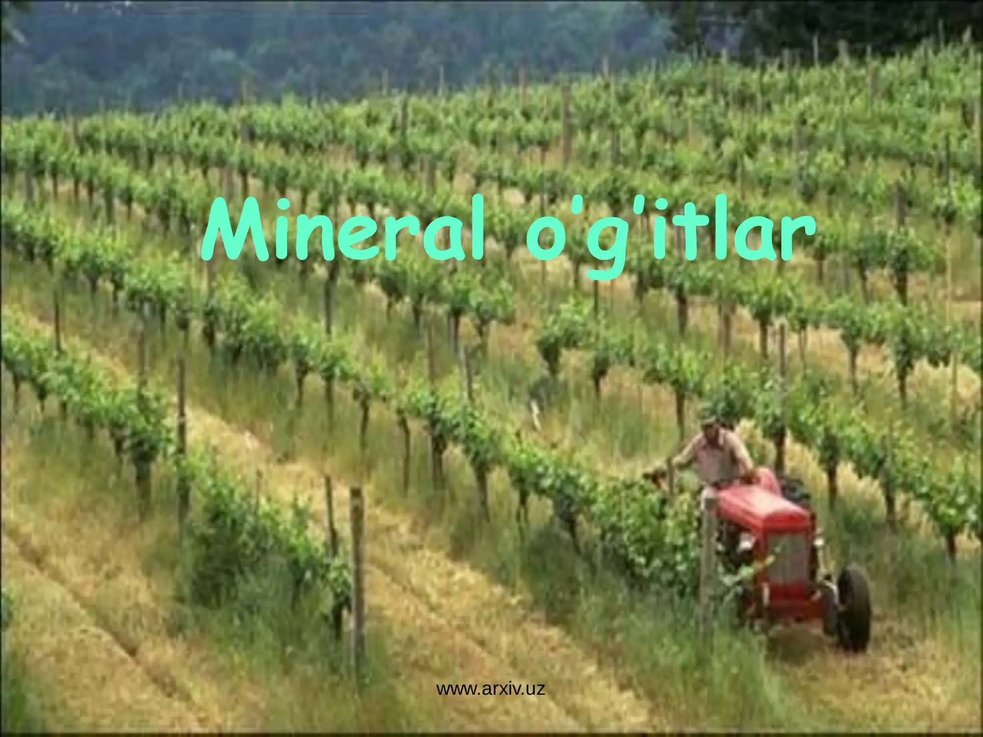 Mineral o’g’itlar