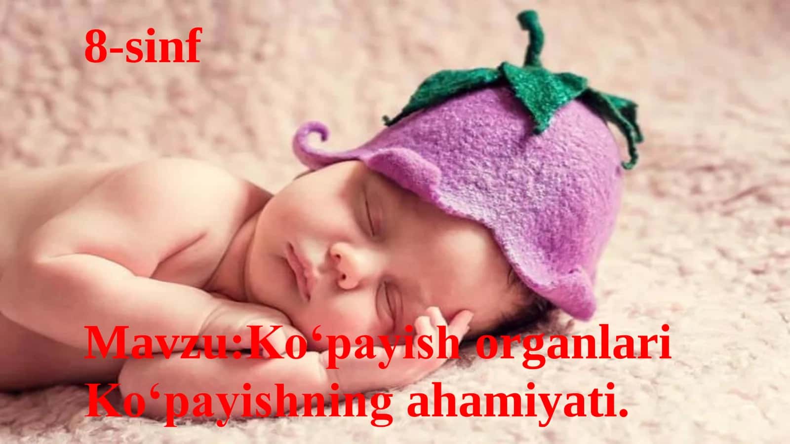 8-Sinf Biologiya: “Ko‘payish organlari va Ko‘payishning Ahamiyati” Taqdimot