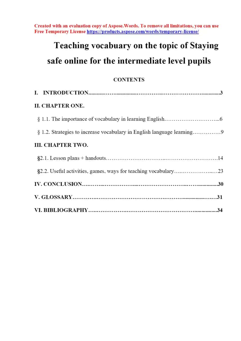 Teaching vocabulary on the topic of Staying safe online for intermediate level pupils