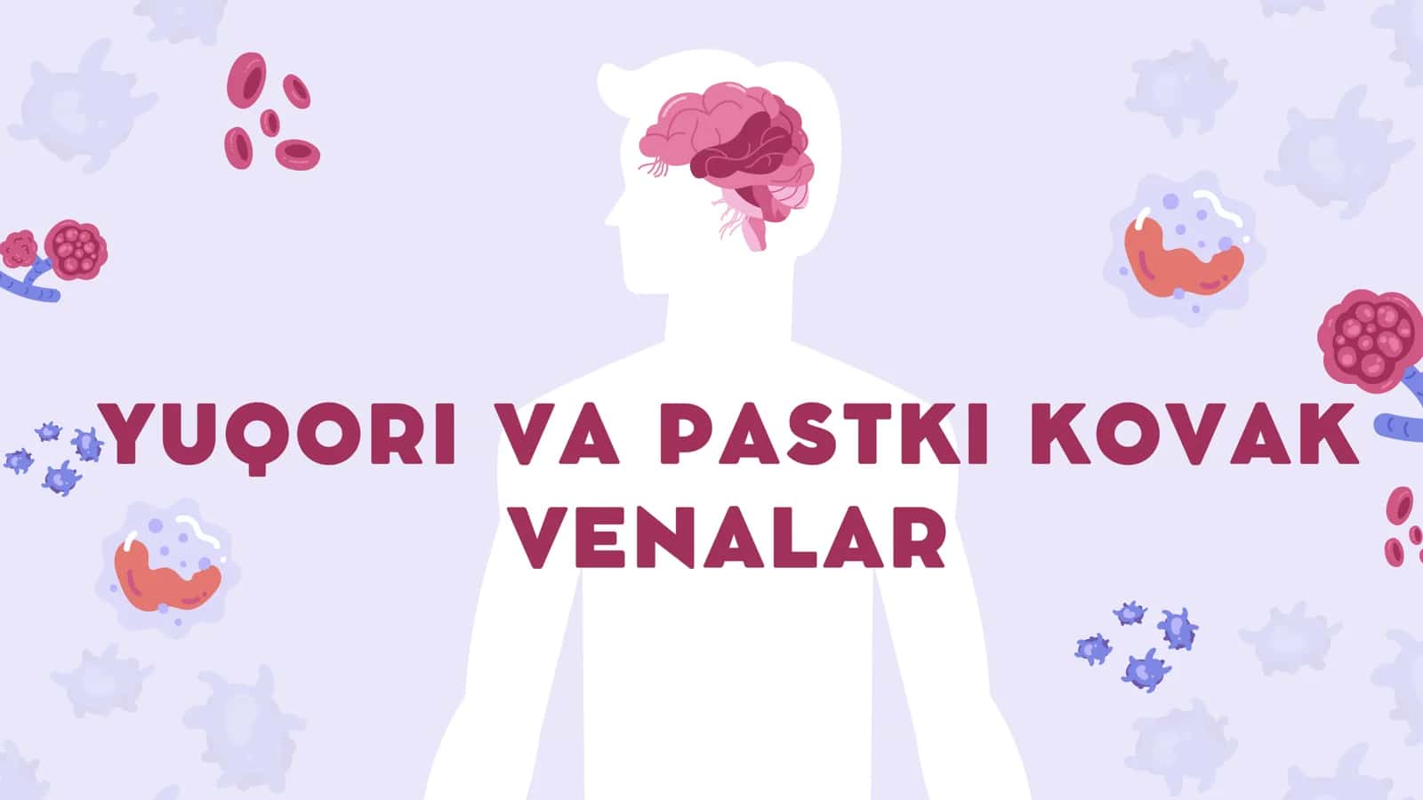yuqori va pastki kovak venalar