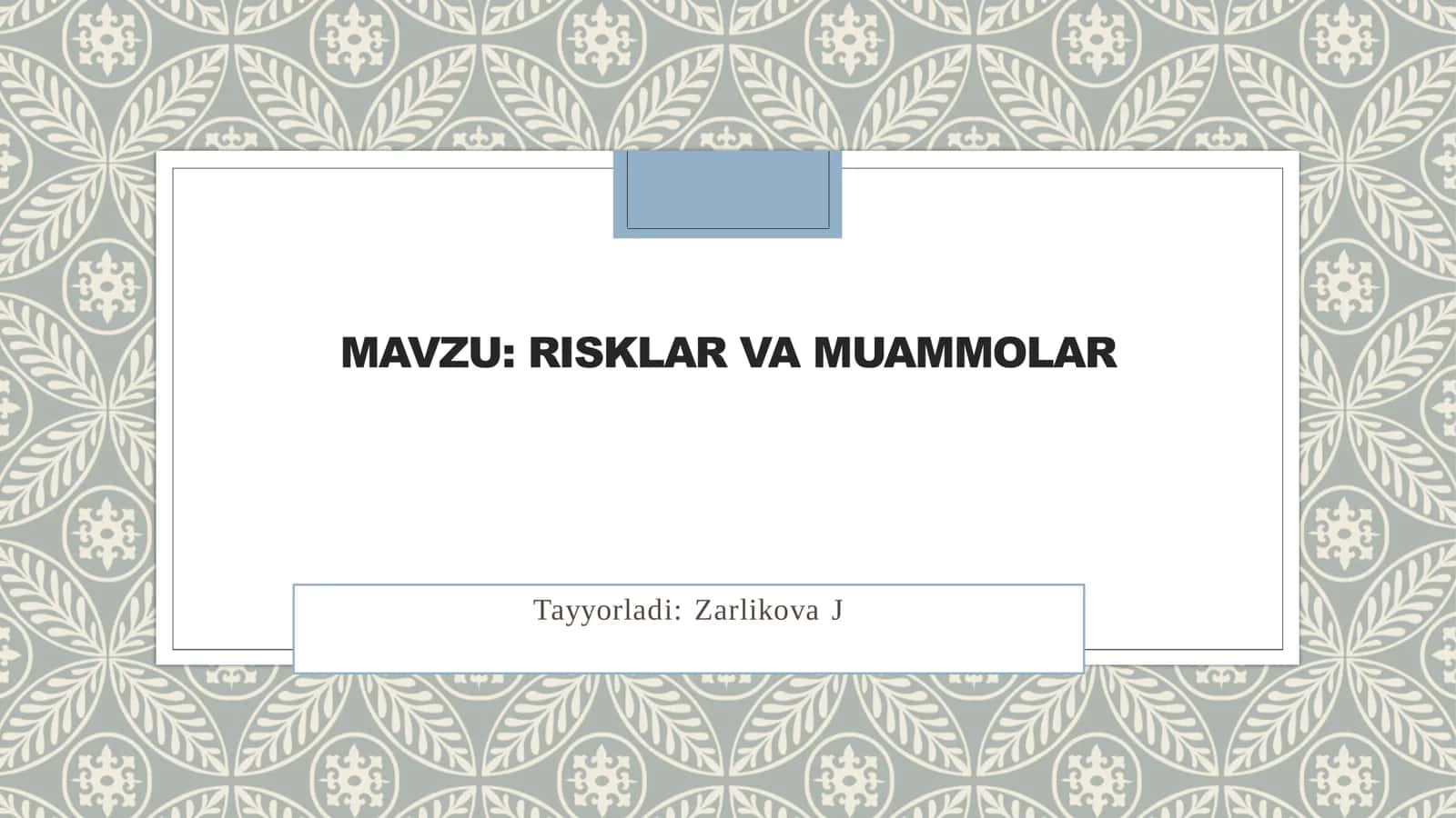 RISKLAR VA MUAMMOLAR. SLAYT 12 LIST