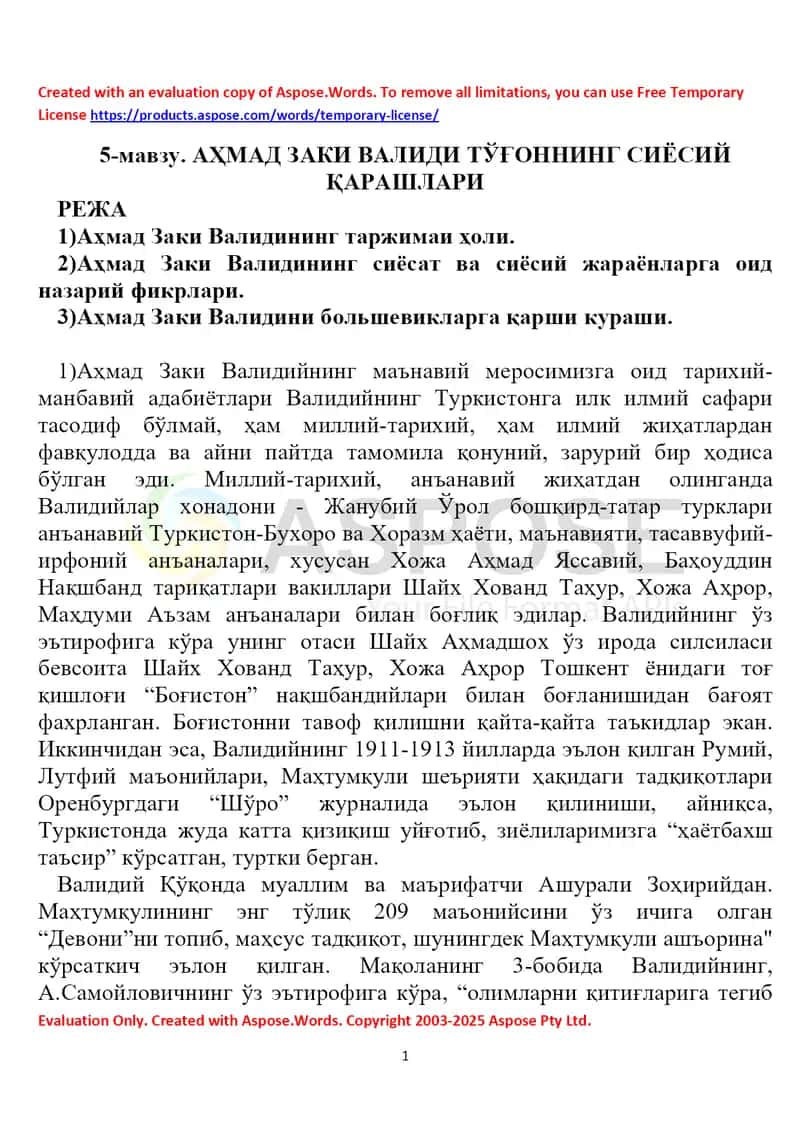 Аҳмад Заки Валидий Тўғоннинг сиёсий қарашлари