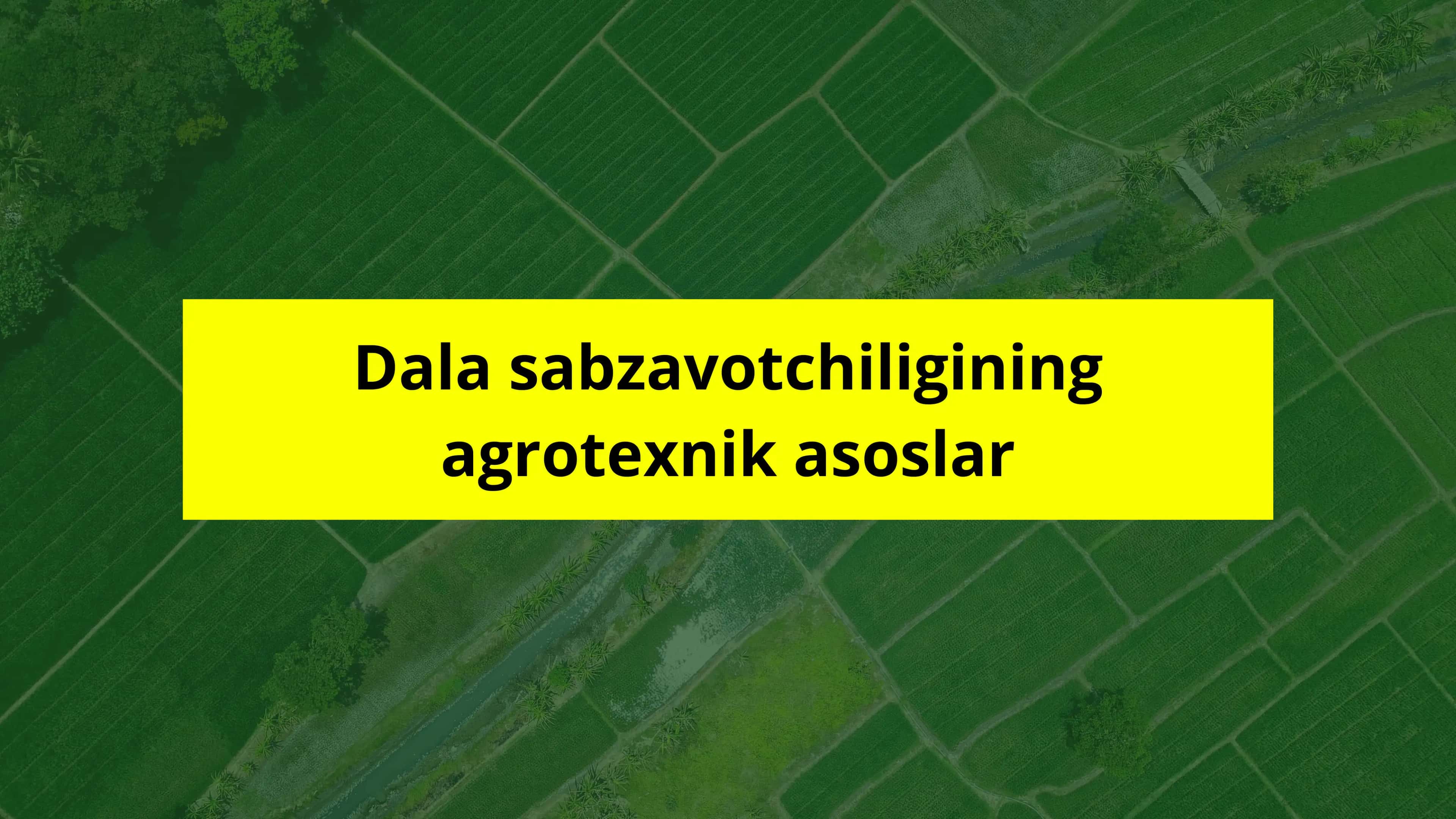 Dehqonchilik tizimi