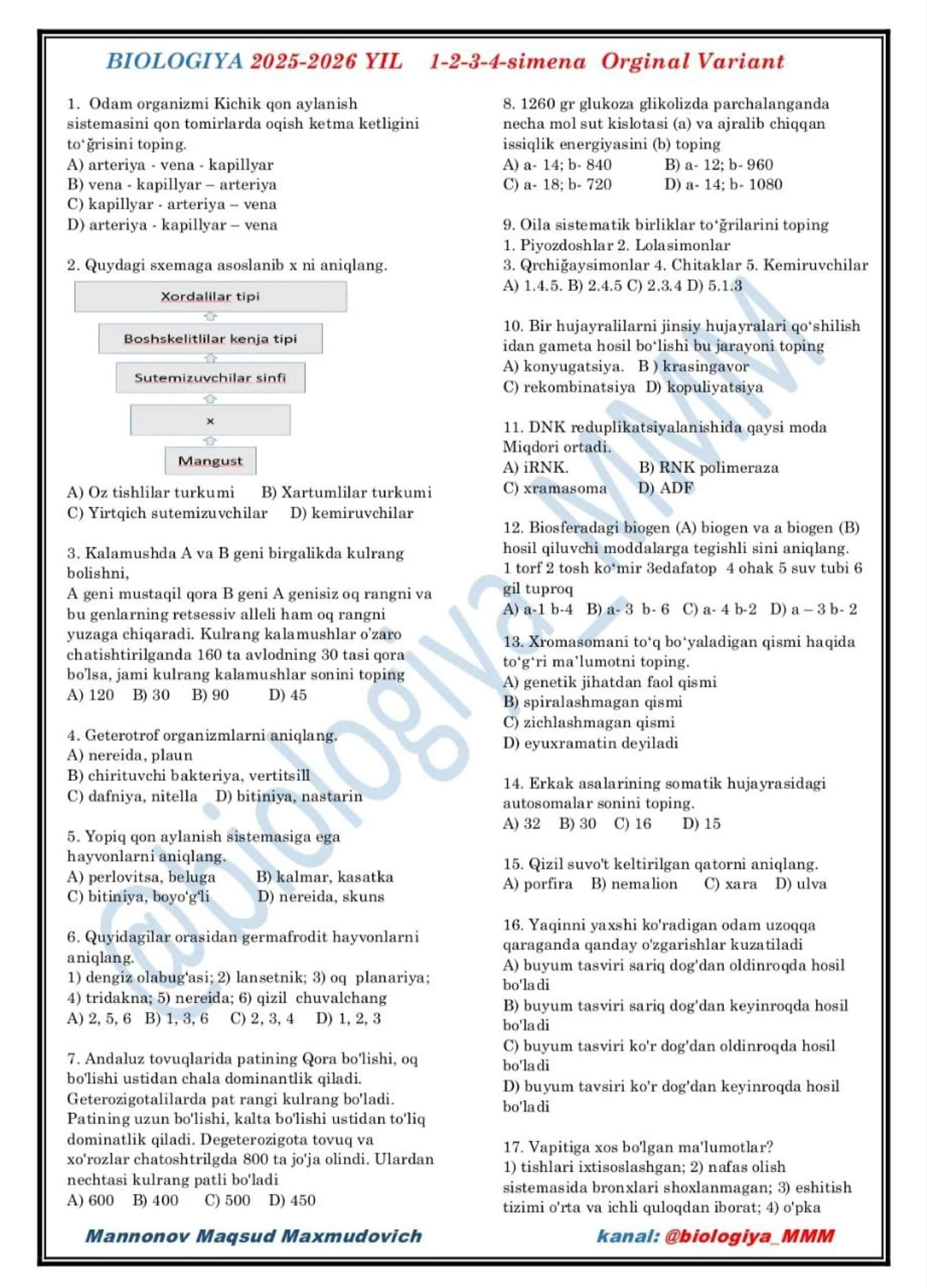 Dtm savollari