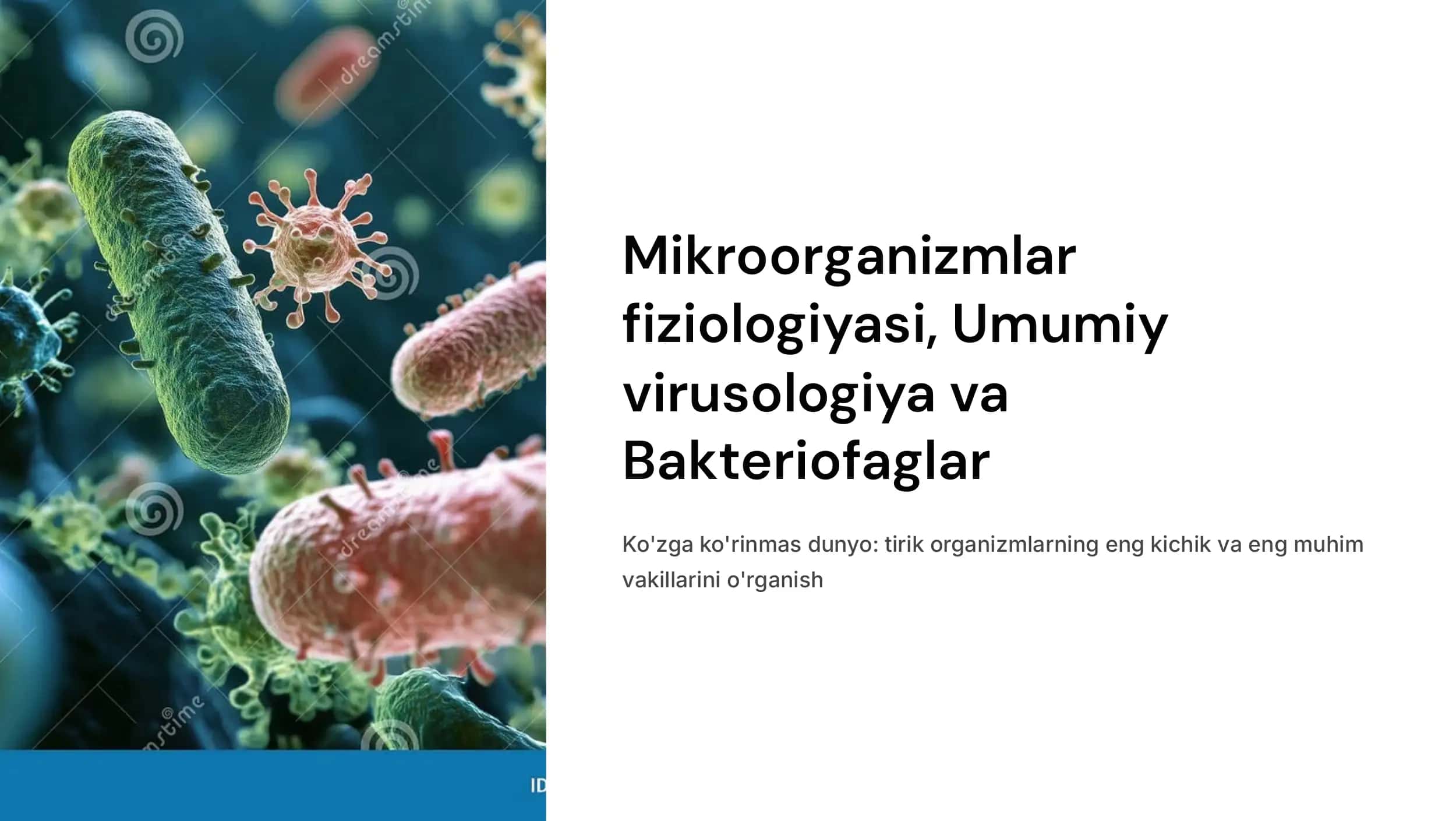 Mikroorganizmlar