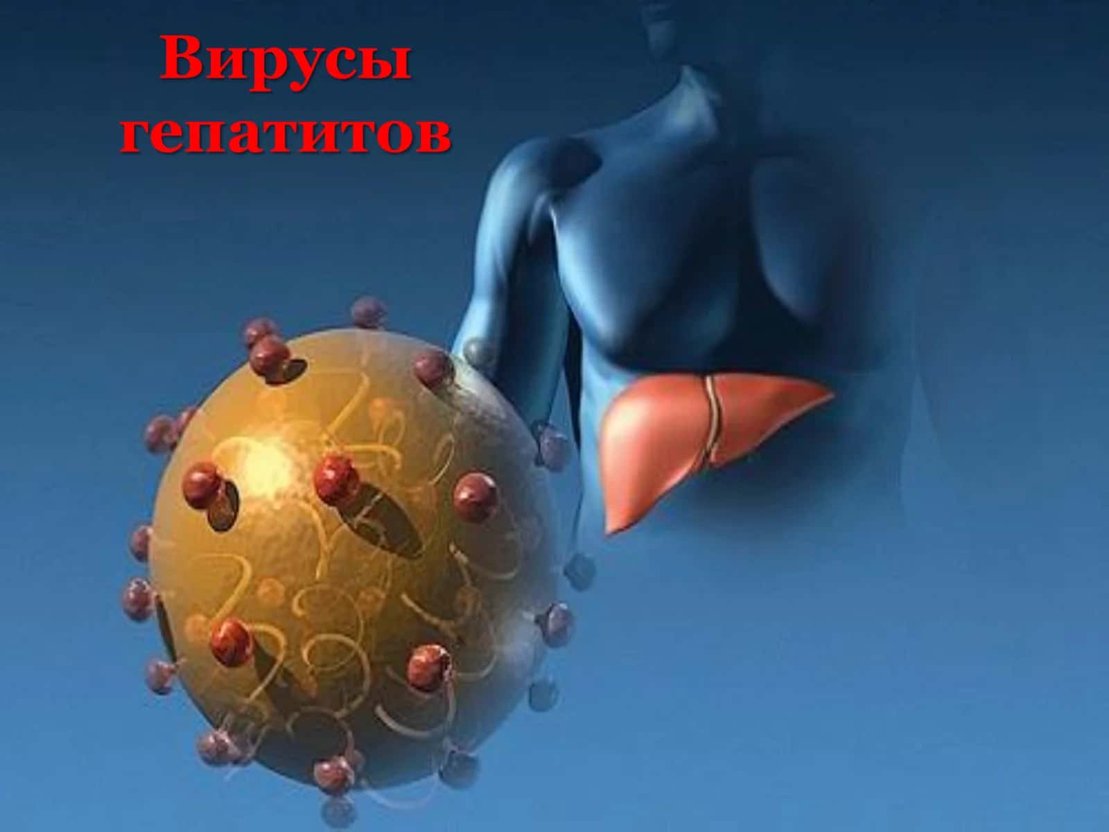 Вирус гепатита А (ВГА)