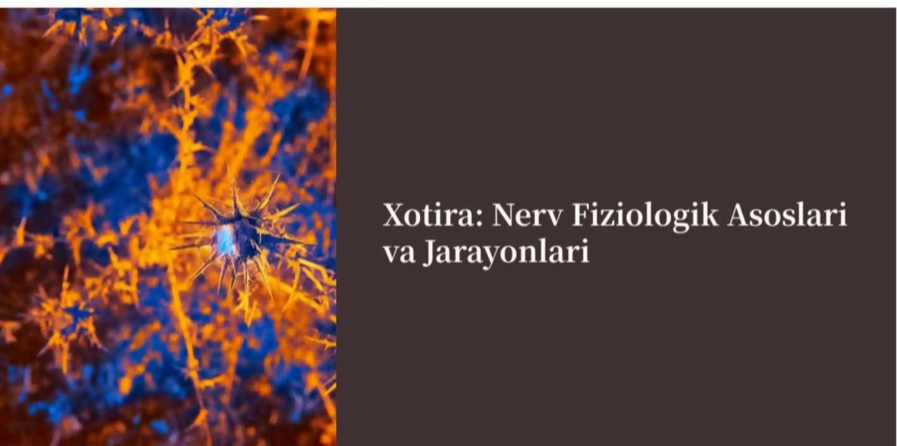 Xotira haqida slayd
