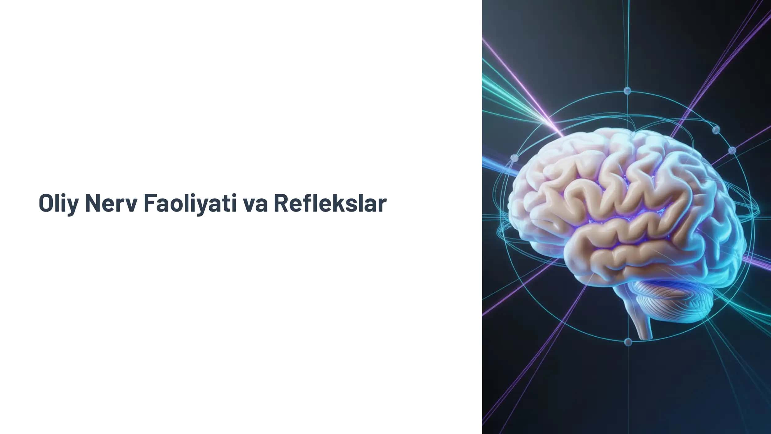Oliy Nerv Faoliyati va Reflekslar
