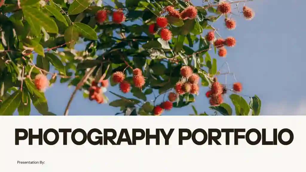 Portfolio fotograf