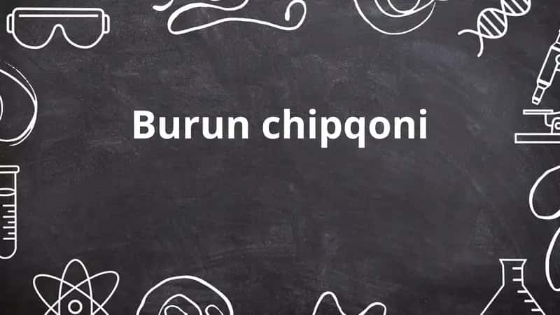 Burun chipqoni