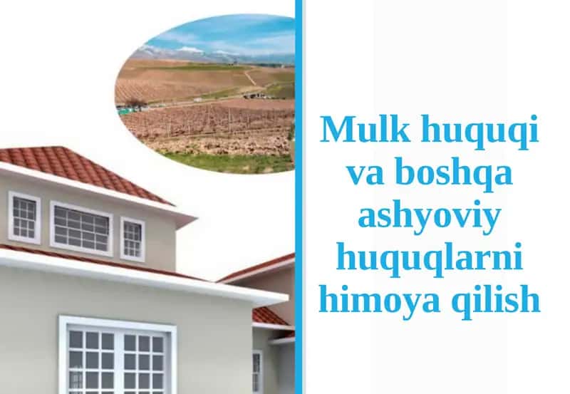 Mulk huquqi va boshqa ashyoviy huquqlarni himoya qilish