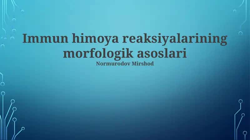 Suyak koʻmigining morfologik asoslari