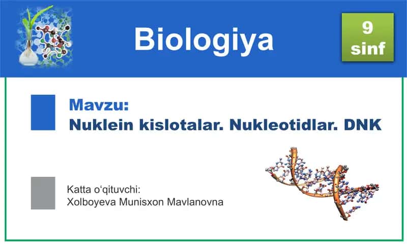 Nuklein kislotalar. Nukleotidlar. DNK