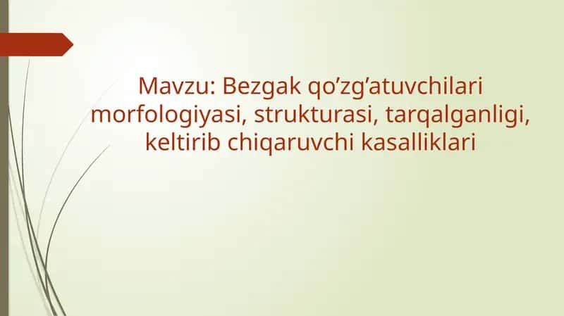Bezgak qo‘zg‘atuvchilari morfologiyasi, strukturasi, tarqalganligi, keltirib chiqaruvchi kasalliklari