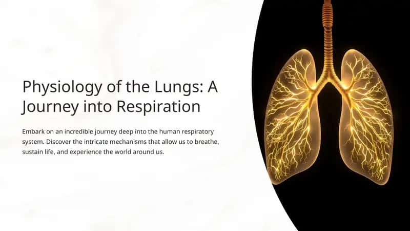 Physiology of the Lungs: A Journey into Respiration