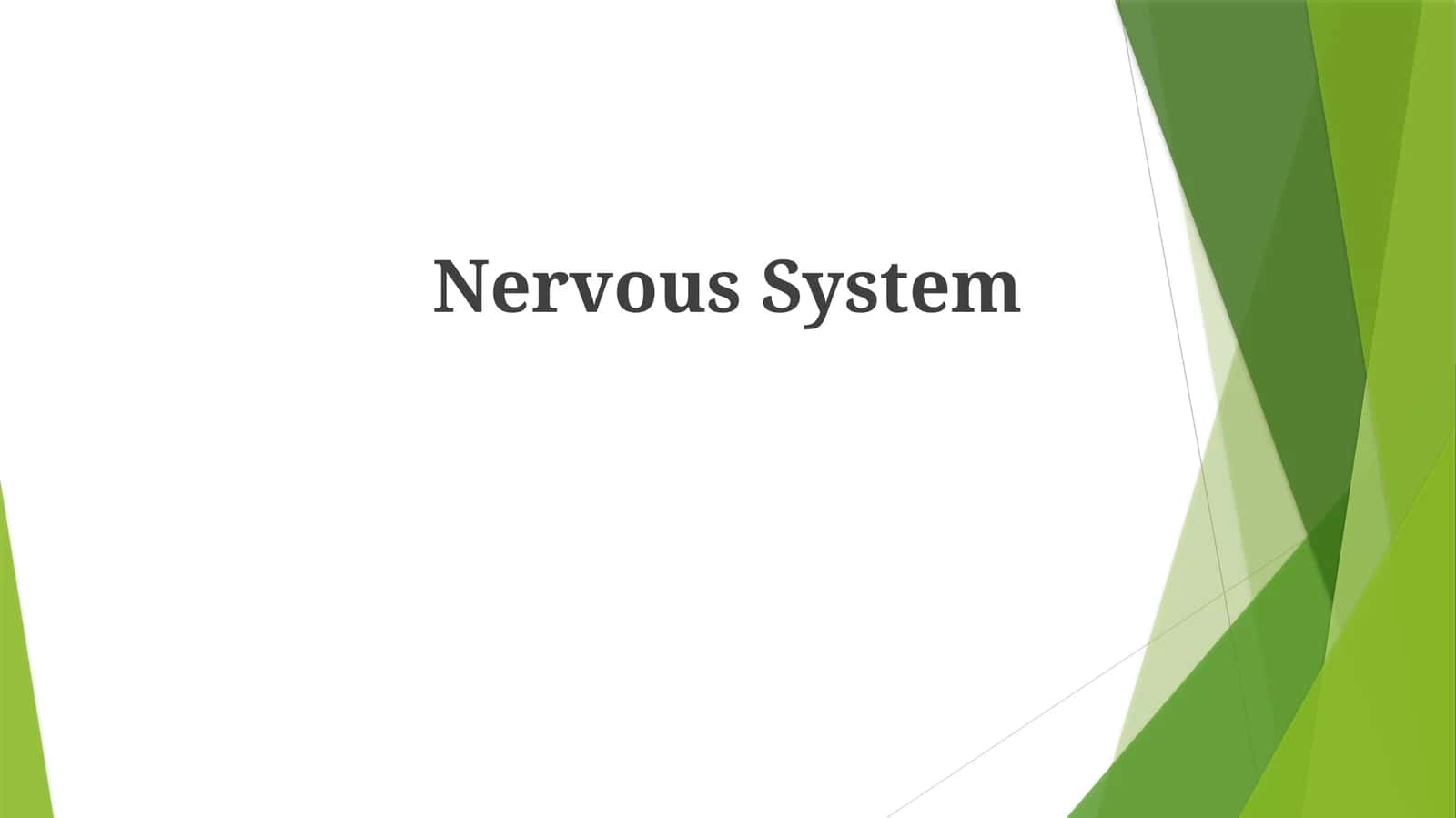 Nervous System