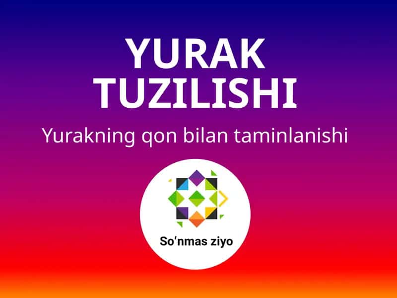 Yurak tuzilishi