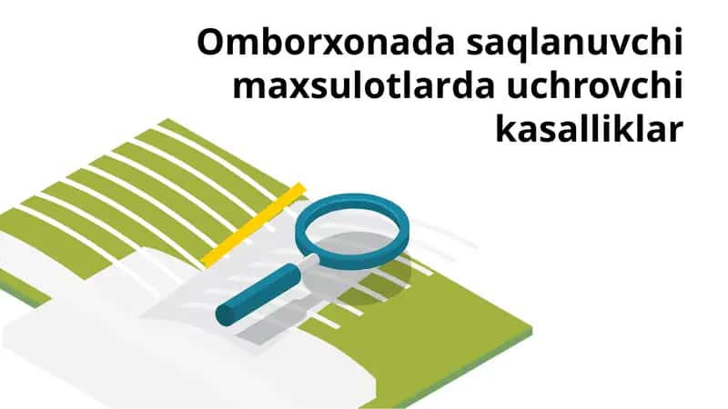 Omborxonada saqlanuvchi maxsulotlarda uchrovchi kasalliklar